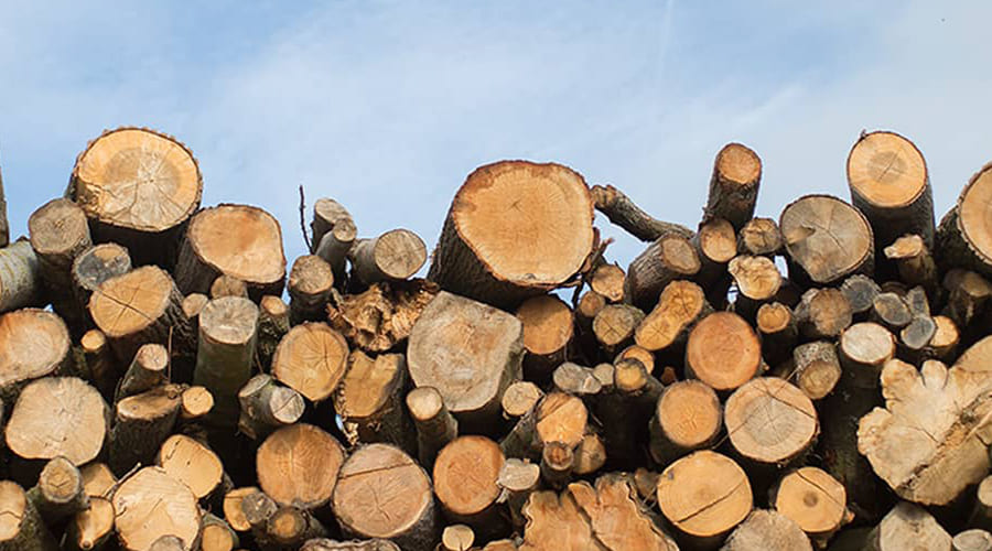 wooden rawmaterials